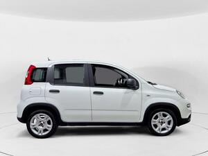 Fiat Panda Panda Hybrid 1.0 51kw (70CV)