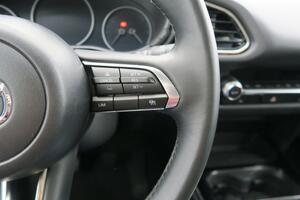 Mazda CX-30 e-SKYACTIV G MHEV 90kW Homura 16