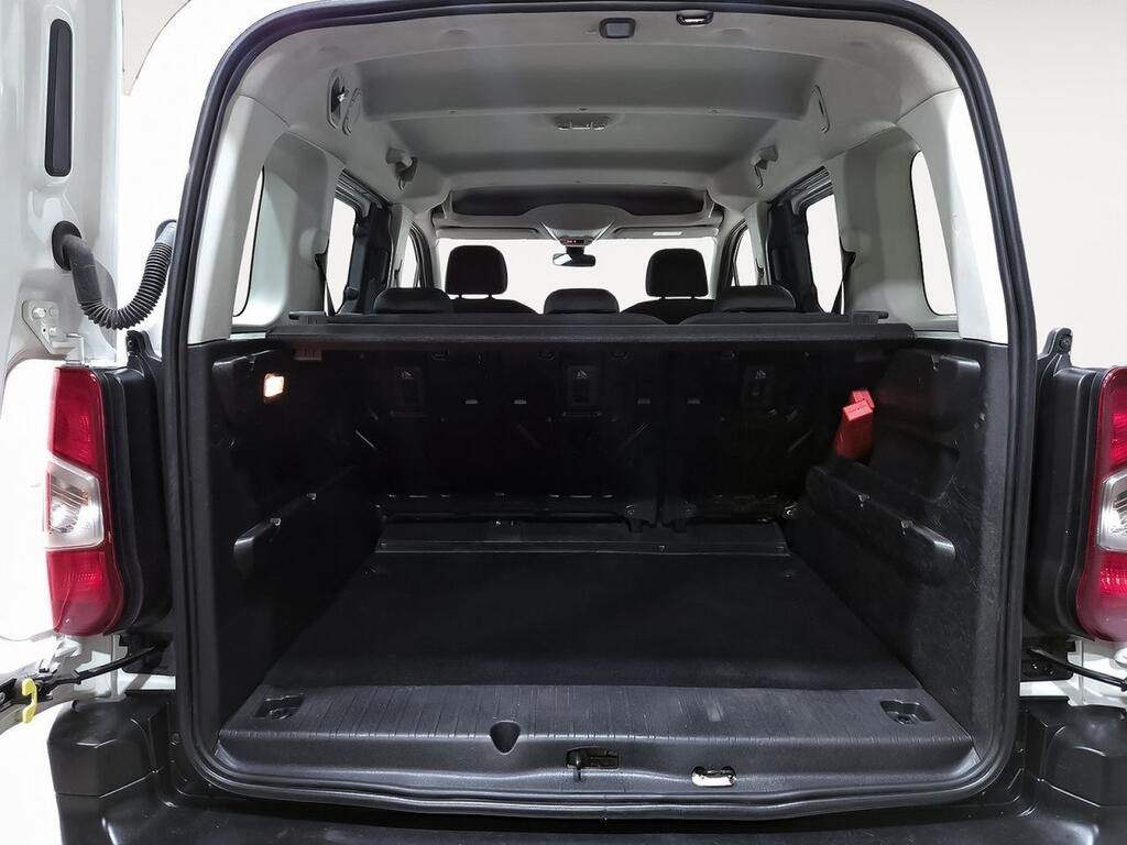 Opel Combo Cargo 1.5 TD 75kW (100CV) S/S Edition L
