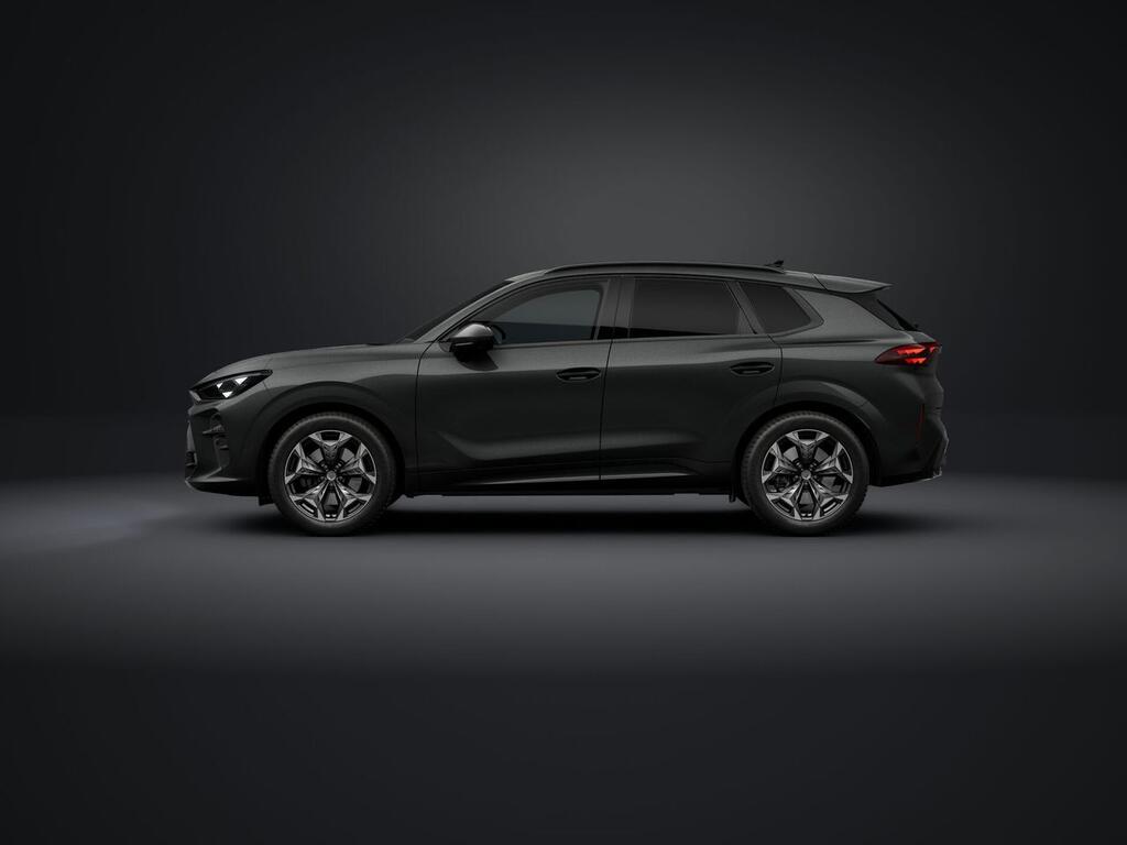 Cupra Terramar 2.0 TSI 150kW (204 CV) DSG 4 Drive 3