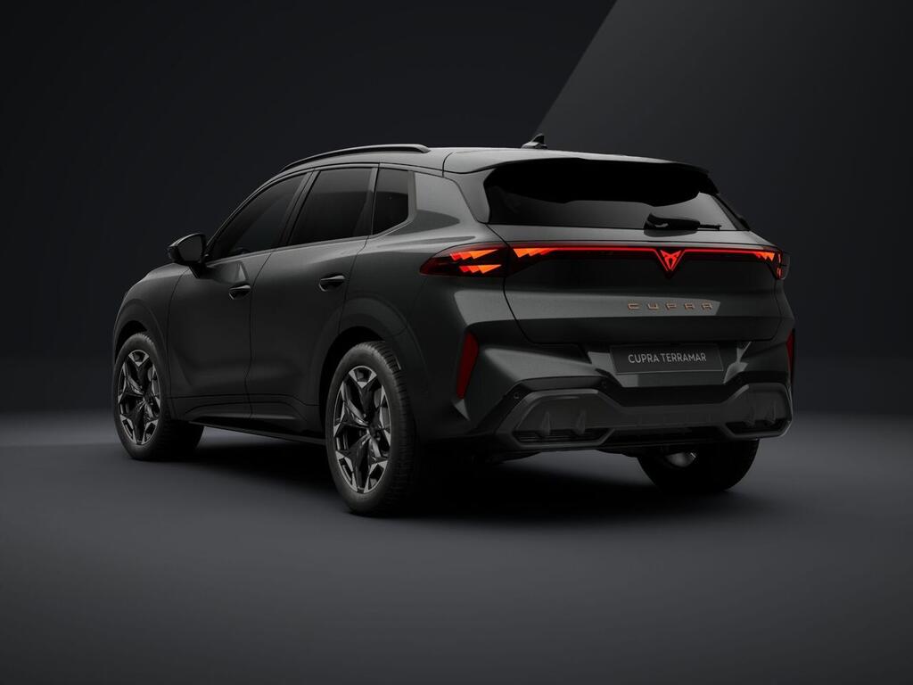 Cupra Terramar 2.0 TSI 150kW (204 CV) DSG 4 Drive 4