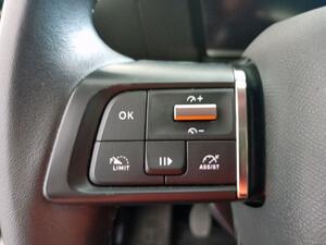 Citroën C4 BlueHdi 110 S&S Feel Pack 14