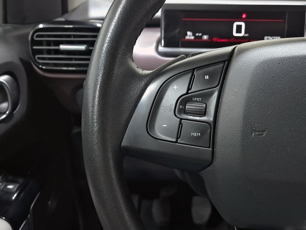 Citroën C4 Cactus PureTech 81KW (110CV) S&S Shine 14