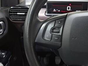 Citroën C4 Cactus PureTech 81KW (110CV) S&S Shine 14