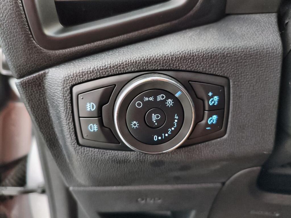 Ford Ecosport 1.0T EcoBoost 92kW (125CV) S&S Active Segunda mano
