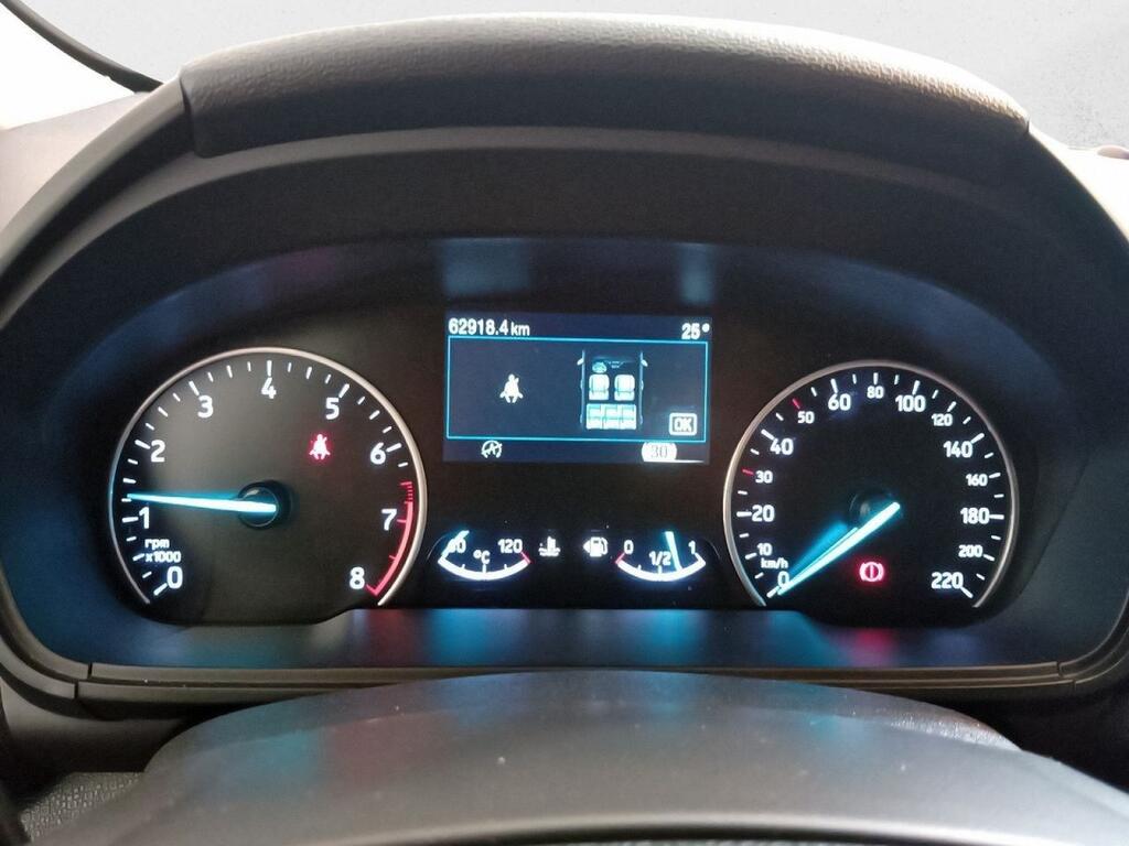 Ford Ecosport 1.0T EcoBoost 92kW (125CV) S&S Active Segunda mano