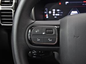 Citroën C5 Aircross PureTech 96kW (130CV) S&S Plus 17