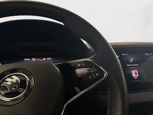 Skoda Karoq 1.5 TSI 110kW (150CV) DSG ACT Sportline 10