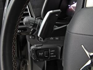 DS DS 7 1.6 E-Tense 225 PERFORMANCE LINE Auto 13