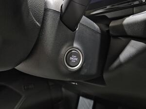 Skoda Kodiaq 1.5 TSI 110KW DSG m-HEV Plus 31