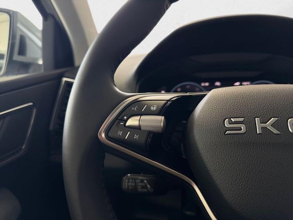 Skoda Karoq 1.5 TSI 110kW (150CV) DSG ACT Plus Km0