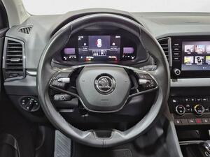 Skoda Karoq Selection 1,5 TSI 110 kW (150 CV) DSG 7 vel. 18