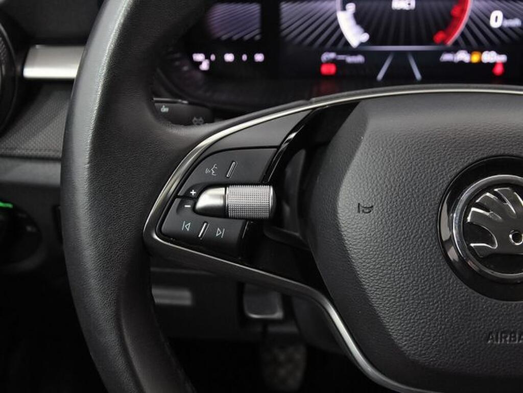Skoda Fabia 1.0 TSI 70KW (95CV) Selection Segunda mano