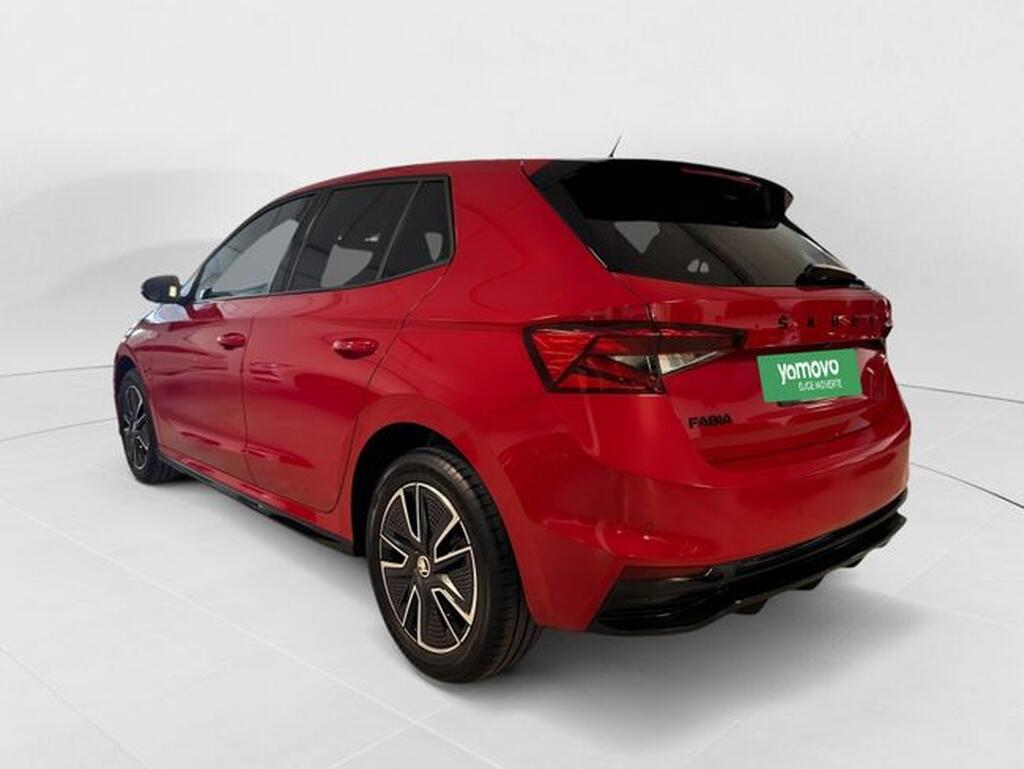 Skoda Fabia 1.0 TSI 81KW (110CV) Monte Carlo Segunda mano