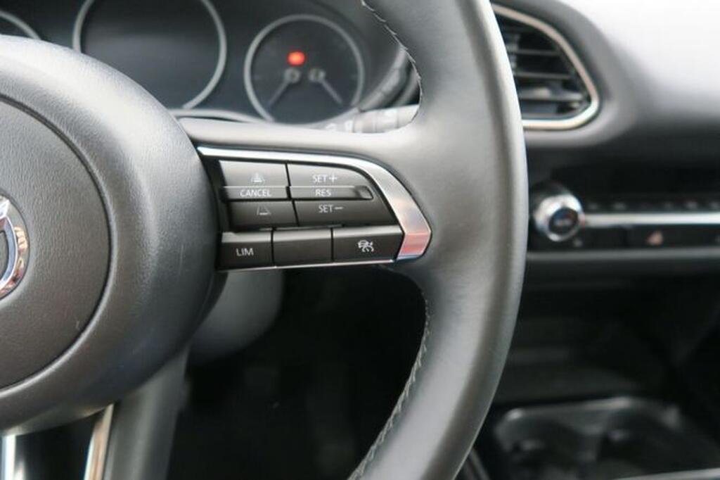 Mazda CX-30 e-SKYACTIV G MHEV 90kW Homura Segunda mano