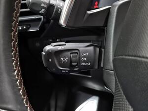 DS DS 7 1.5 BLUEHDI 130 PERFORM. LINE AUTO 5P 14