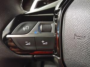 Peugeot 2008 ALLURE PACK 1.5 BLUEHDI 130 CV AUTO S&S 5P 8