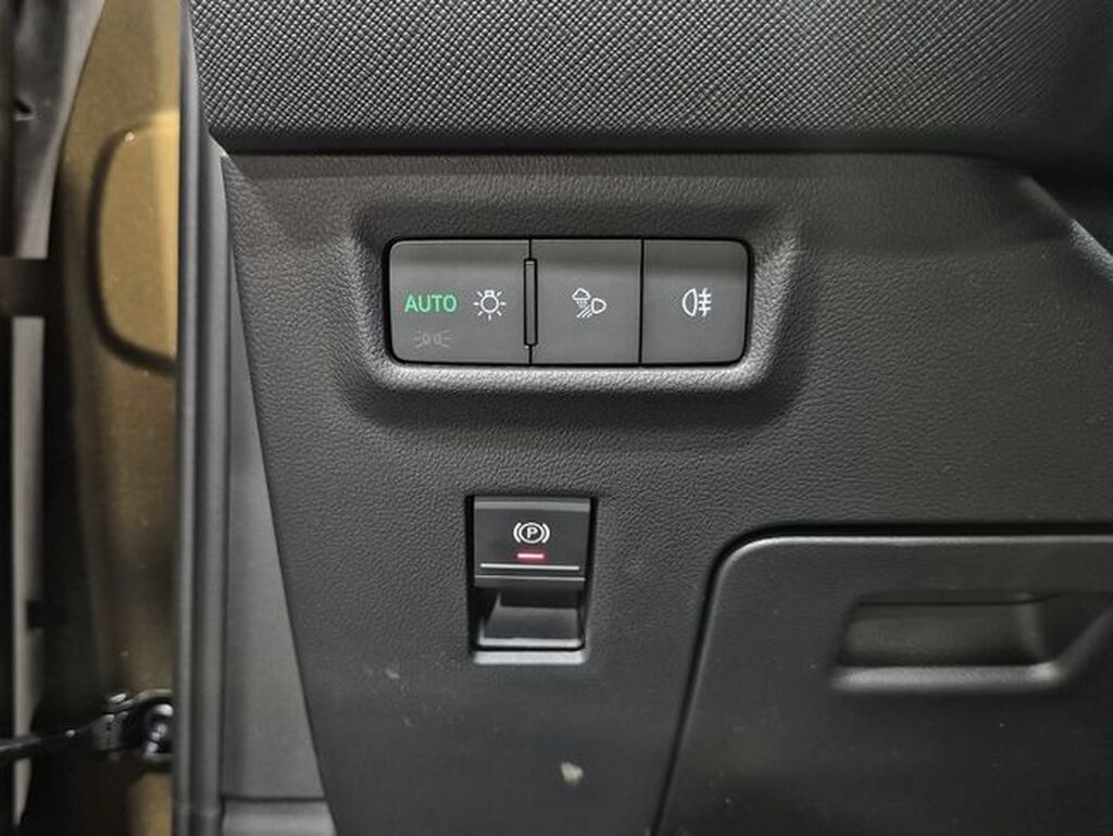Skoda Kodiaq 1.5 TSI 110KW DSG m-HEV Plus Km0