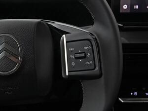 Citroën C3 Aircross Turbo 73kW (100CV) BVM6 PLUS 19