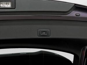 Cupra Terramar 1.5 PHEV 204 DSG 5P (INTELLIGENT DRIVE+EDGE PACK) 36