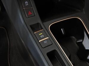 Cupra Terramar 1.5 PHEV 204 DSG 5P (INTELLIGENT DRIVE+EDGE PACK) 32