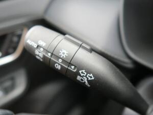 MG ZS Hybrid+ Luxury 16