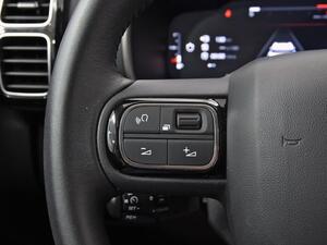 Citroën C5 Aircross PureTech 96kW (130CV) S&S Plus 17