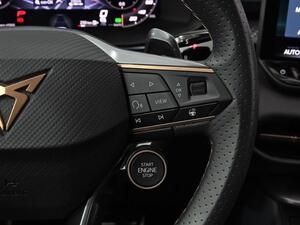 Cupra Terramar 2.0 TSI 195kW (265 CV) VZ DSG 4 Drive 19
