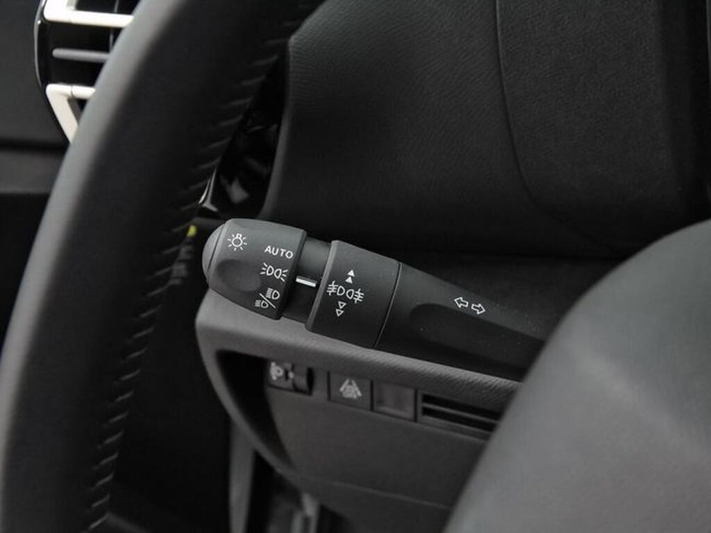 Citroën C4 BlueHDi 130 S&S EAT8 Plus Segunda mano