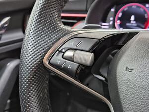 Skoda Kamiq Monte Carlo 1,0 TSI 85 kW (115 CV) DSG 7 vel. 14
