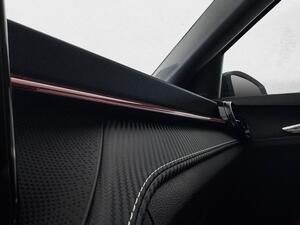 Skoda Fabia 1.0 TSI 115 MONTE CARLO 5P 20
