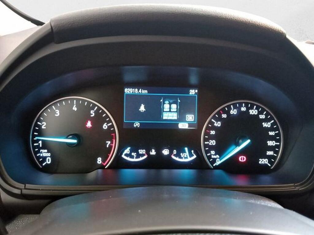 Ford Ecosport 1.0T EcoBoost 92kW (125CV) S&S Active Segunda mano