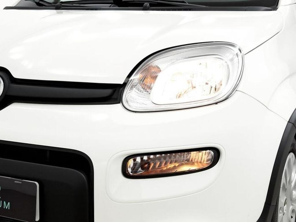 Fiat Panda Panda 1.0 Hybrid 51kW (70cv) Km0