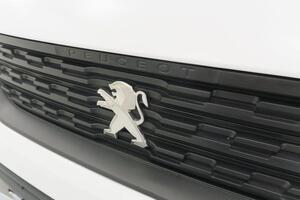 Peugeot Partner PARTNER FG 1.5 BLUEHDI 100 STANDARD 4P 600KG 19
