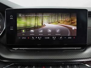 Skoda Octavia OCTAVIA COMBI 2.0 TSI RS 245 DSG 5P 30