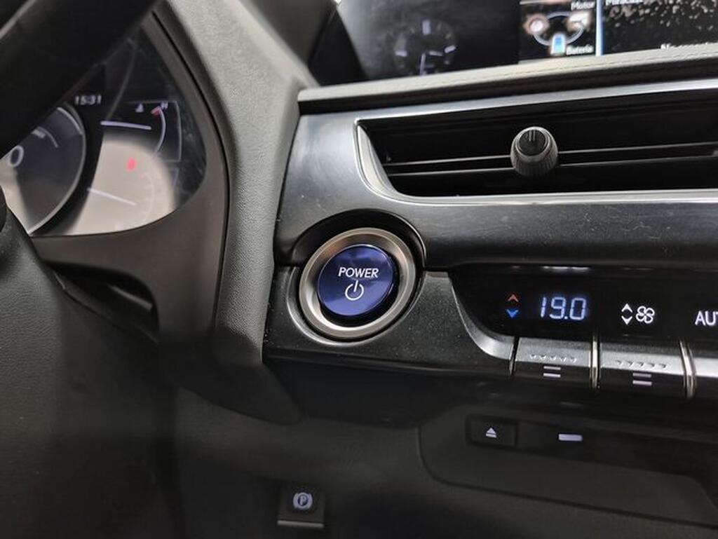 Lexus UX 2.0 250h Business Segunda mano