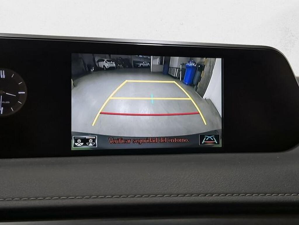 Lexus UX 2.0 250h Business Segunda mano
