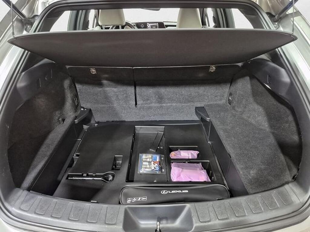 Lexus UX 2.0 250h Business Segunda mano