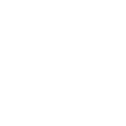 Renting BMW