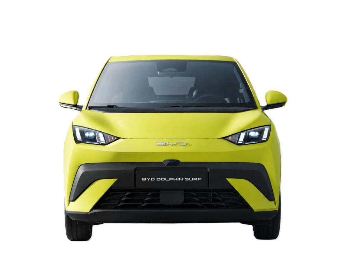 BYD Dolphin Surf renting