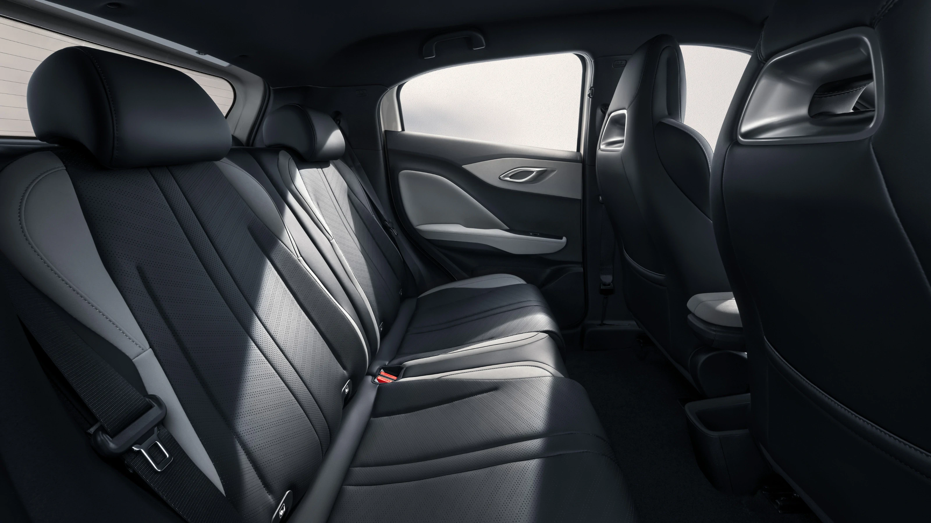 BYD Dolphin Surf interior