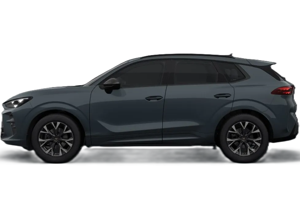 Cupra Terramar renting